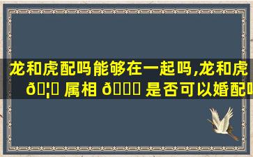 龙和虎配吗能够在一起吗,龙和虎 🦉 属相 🐟 是否可以婚配吗虎